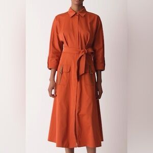 Max Mara Sibari Cotton Blend Shirtdress